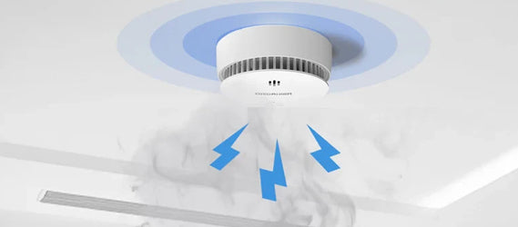 Smart Home & Surveillance