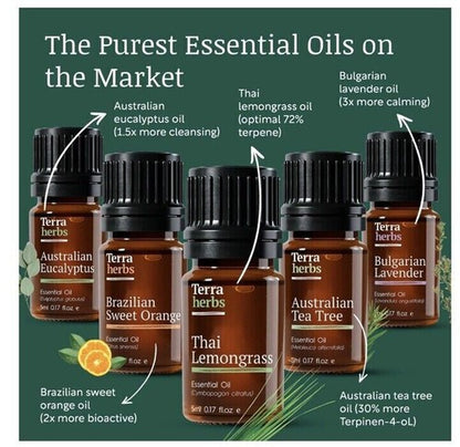 Terra Herbs Essential Oils for Diffusers Home 5 PCS Pure | Natural Aromatherapy