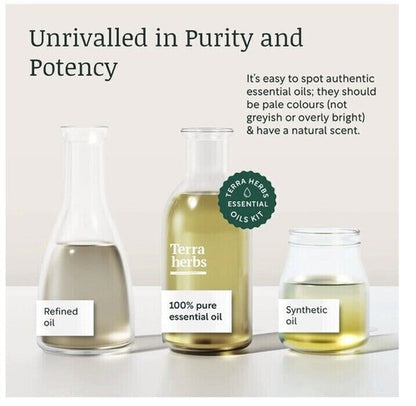 Terra Herbs Essential Oils for Diffusers Home 5 PCS Pure | Natural Aromatherapy