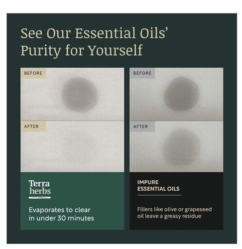 Terra Herbs Essential Oils for Diffusers Home 5 PCS Pure | Natural Aromatherapy