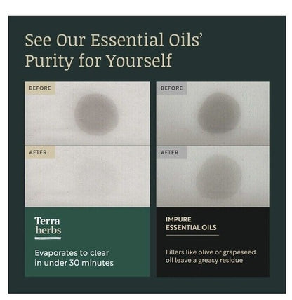 Terra Herbs Essential Oils for Diffusers Home 5 PCS Pure | Natural Aromatherapy