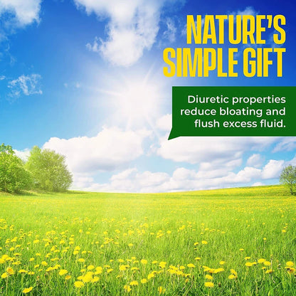 Organic Dandelion Root Tea Detox | Raw Vitamin Rich Digestive | 5 Pack 100 Bags