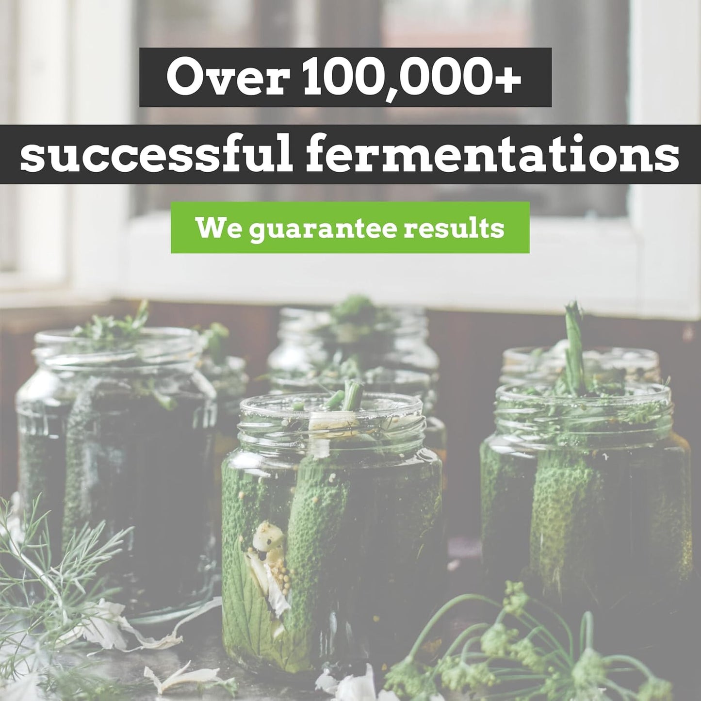 Easy Fermenter Fermentation Kit - Wide Mouth Lid 3-Pack | Nourished Essentials