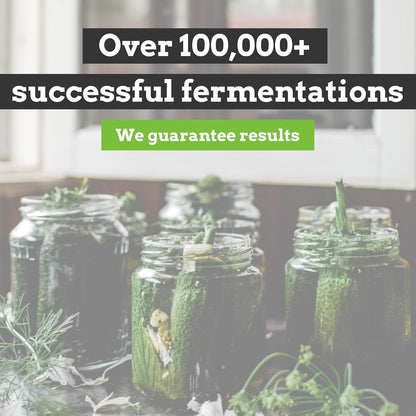 Easy Fermenter Fermentation Kit - Wide Mouth Lid 3-Pack | Nourished Essentials