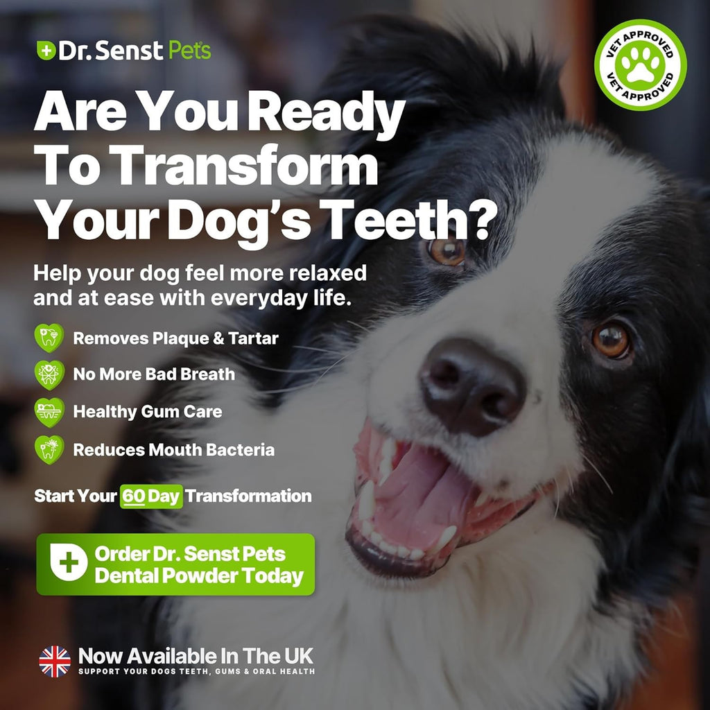 Dr Senst Plaque Off Powder Dogs 400g Dog Teeth Cleaning Products & Breath Fresh