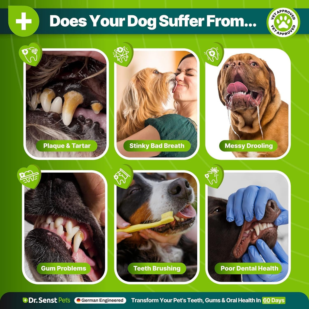 Dr Senst Plaque Off Powder Dogs 400g Dog Teeth Cleaning Products & Breath Fresh