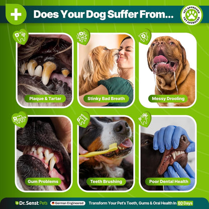 Dr Senst Plaque Off Powder Dogs 400g Dog Teeth Cleaning Products & Breath Fresh